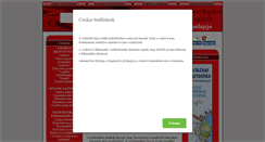 Desktop Screenshot of logikaifeladatok.hu